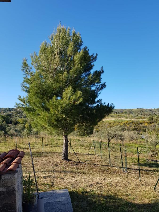 Villetta Nel Verde Ascea Exterior foto
