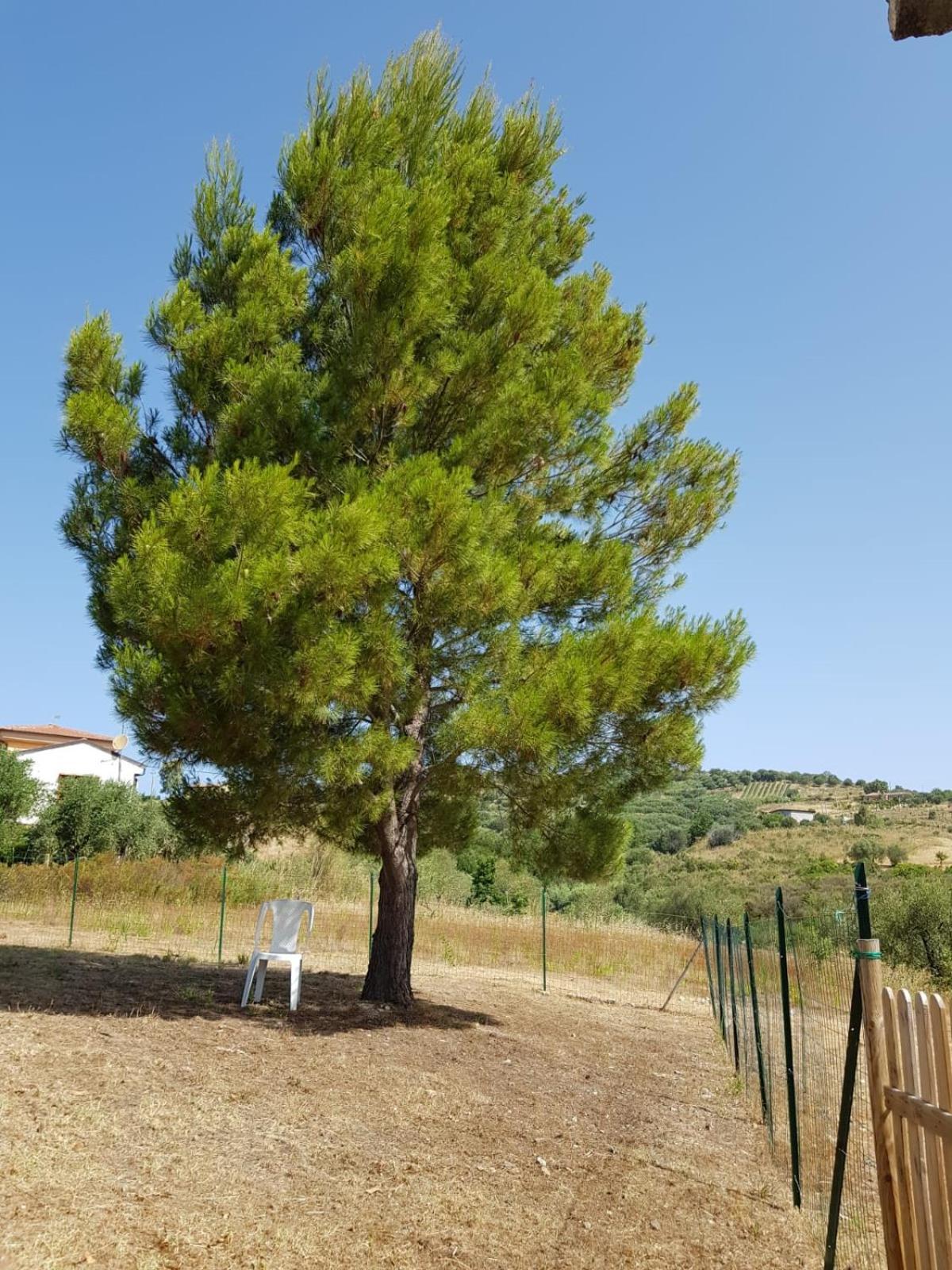 Villetta Nel Verde Ascea Exterior foto